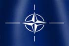 NATO National Flag Graphic