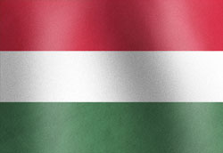 Hungary National Flag Graphic